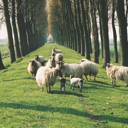 Geersdijk B&B Landgoed Rijckholt מראה חיצוני תמונה